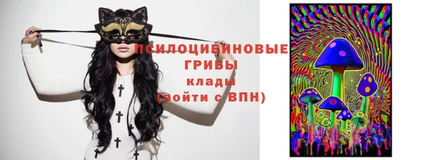 индика Протвино