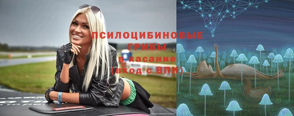 ГАЛЛЮЦИНОГЕННЫЕ ГРИБЫ Пролетарск